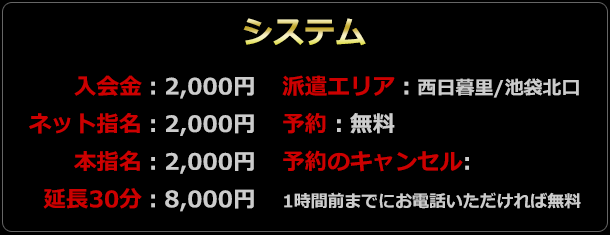 西日暮里 前立腺マッサージ専門 もぐらのM性感 料金システム