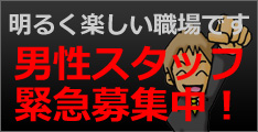 男性スタッフ募集